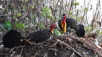 娱乐吃瓜小能手,吃瓜小能手带你领略幕后风云
