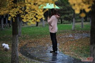 冷雨图片,捕捉冬日雨景之美